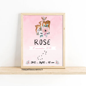 Affiche naissance Biches