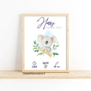 Affiche Naissance Koala sur sa branche