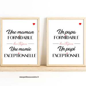 Affiche Minimaliste Annonce Mamie Papi