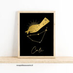 Capricorne