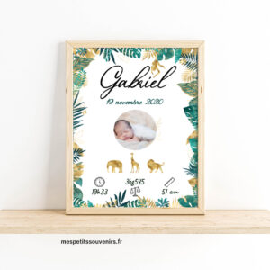 Affiche Naissance savane tropical avec Photo