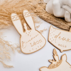 Kit étapes première année animaux  en bois